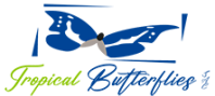 logo-web